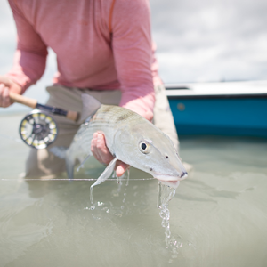 Bucket List Bonefishing in the Bahamas
